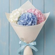 Букет цветов из:  Гортензия в Карабулаке