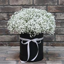 Цветочная композиция из Гипсофила в шляпной коробке в Карабулаке