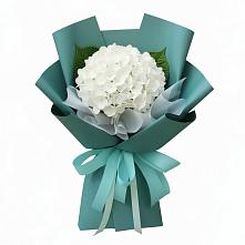 Букет цветов из:  Гортензия в Карабулаке
